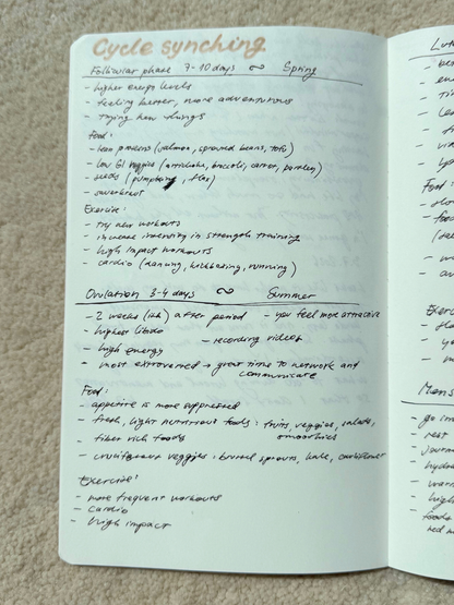 A5 blank, fountain pen journaling entry