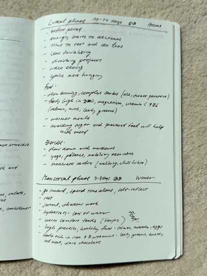 A5 blank, fountain pen journaling entry