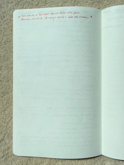 A5 blank, fountain pen journaling entry